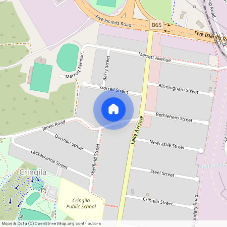 10 Jarvie Road, NSW 2502, Cringila