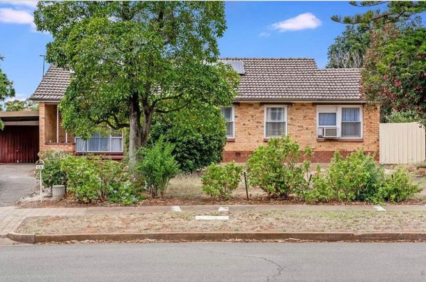 Low Maintenance Living - Photo 1