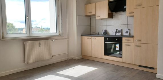 Location Appartement 1 pièce 22m² MULHOUSE 68200 - Photo 2