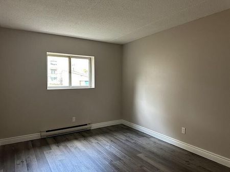 2 Balmoral Place - Photo 4