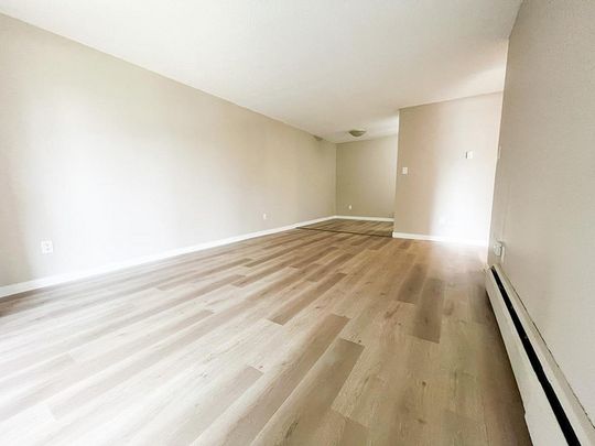 Ashley Court - Photo 1