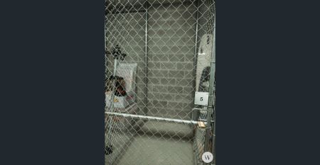 Luxurious Fully Furnished Unit - Available 17 December - Photo 2