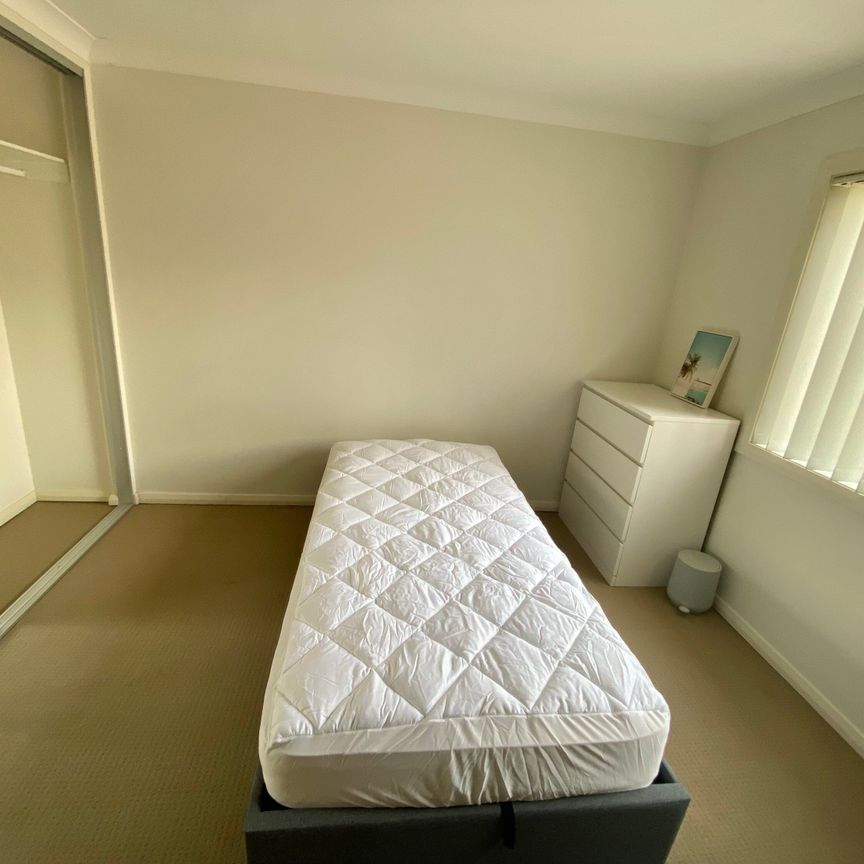 Telopea - Photo 1
