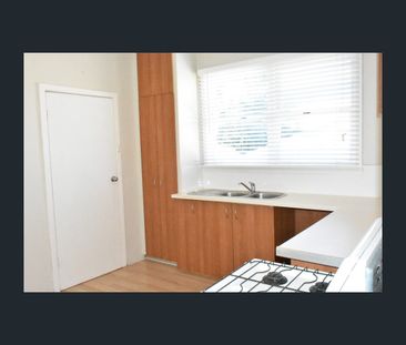 206 Holbeck Street, Doubleview, WA 6018 - Photo 6