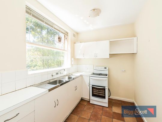 SUN-FILLED & SPACIOUS - Photo 1