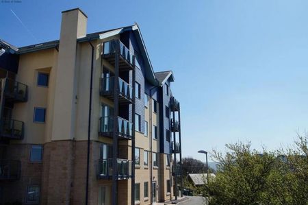 4 bedroom house share to rent - Photo 4