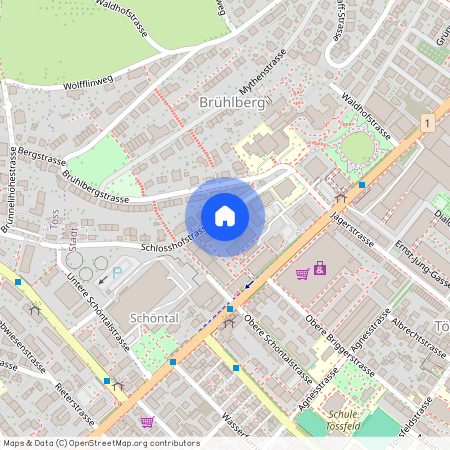 Schlosshofstrasse 23, 8400, Winterthur