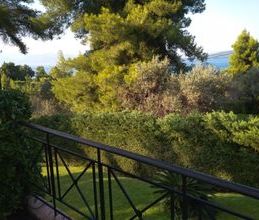 Μονοκατοικία για ενοικίαση - Άγιος Κωνσταντίνος - Photo 3