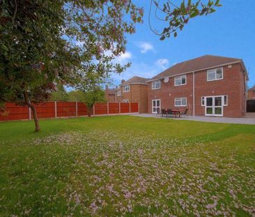 House share to rent - Photo 4
