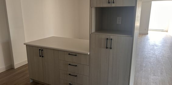 5 1/2 Refait à Neuf - Photo 3