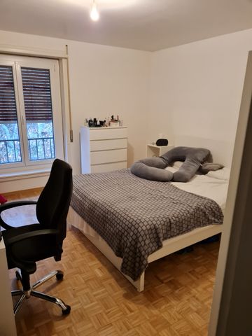 Prébarreau 3 - 3,5 p - spacieux- centre ville - Photo 3