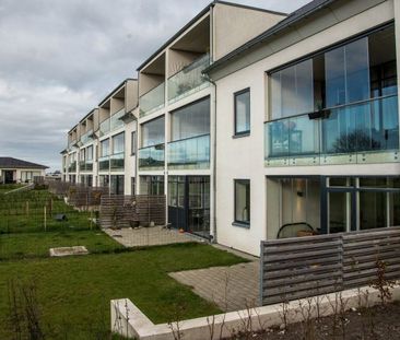 Afd. 6 - Løgstør Boligforening - Photo 4