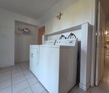 For Lease - 23 Morbank Drive Unit# Basement, Toronto, Ontario - Photo 4
