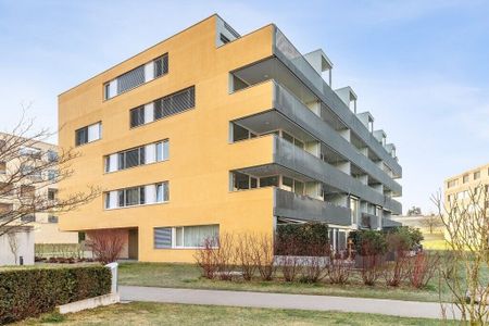 Living close to nature at the gates of Zurich - Photo 3