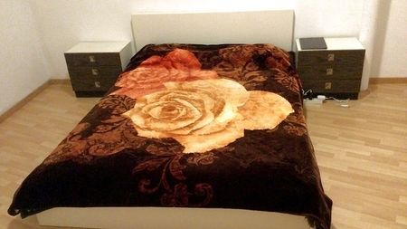 2 Zimmer-Wohnung in Bern - Felsenau/Tiefenau, möbliert, auf Zeit - Photo 4