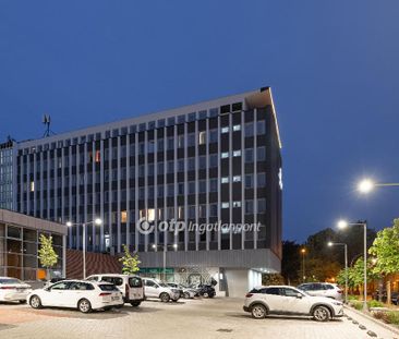 Belváros, Borsod-Abaúj-Zemplén, 3525, Miskolc - Fotó 6