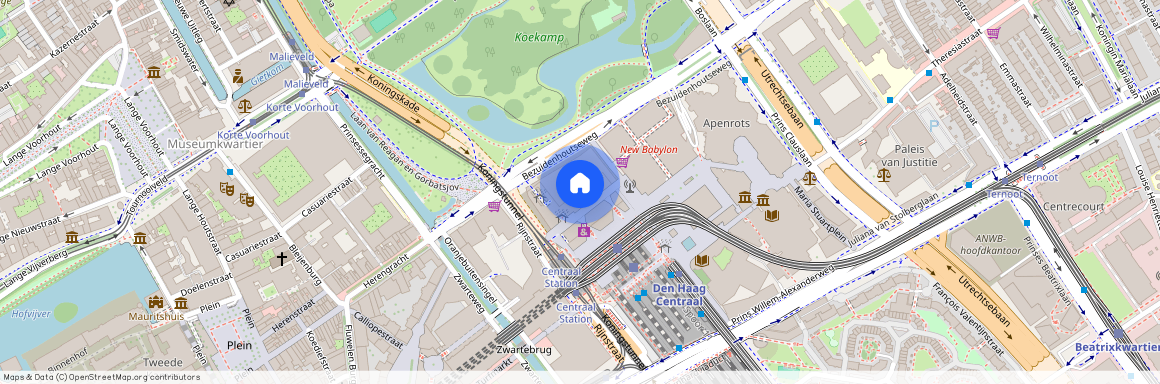 Koningin Julianaplein, Rivierenbuurt-Noord, 2595AA, Den Haag