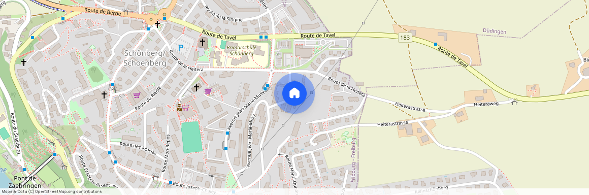 Avenue Jean-Marie Musy 30, 1700, Fribourg