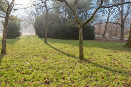Großzügige 3 Zimmer DG Neubauwohnung - zwischen Matzleinsdorfer Platz und Waldmüllerpark - Photo 4