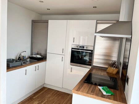 2 Bed Flat, Michigan Point Tower D, M50 - Photo 4