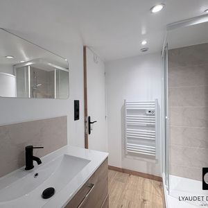 Location Appartement 1 pièce 18m² - Photo 2