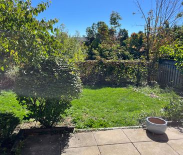 For Lease - 311 Stanley Street, Barrie, Ontario - Photo 4