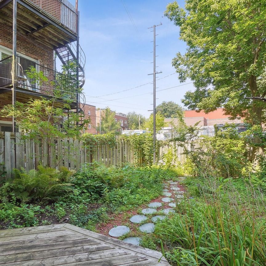 Condo for rent, Montréal (Le Plateau-Mont-Royal) - Photo 1
