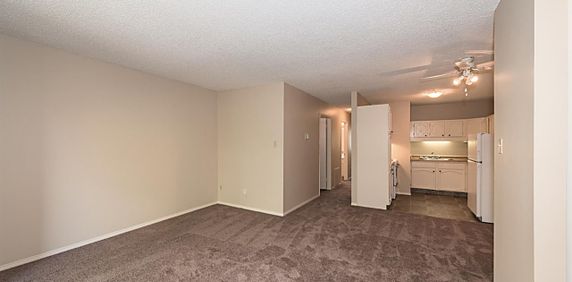 Cedarville Apartments - Photo 2