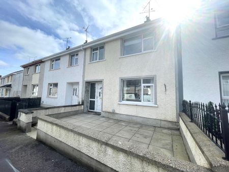 16 New Street, Ederney, BT93 0EE - Photo 4