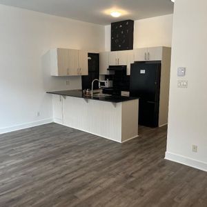 GRAND CONDO MODERNE 4 1/2 - STADE OLYMPIQUE / MÉTRO VIAU - Photo 2