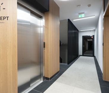 Mieszkanie 2-pokojowe z balkonem | Pierwszy najem - Zdjęcie 4