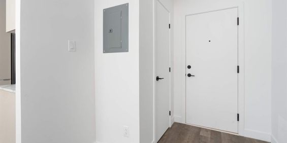 1 CH - 1 SDB - Montreal - $1,445 /mo - Photo 3