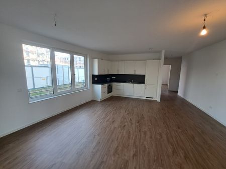 Große 3-Zimmer, EBK, TG-Platz, 2 Bäder, 2 Terrassen im Heiligkreuzviertel - Photo 5