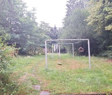 Singelwohnung mit EBK ab SOFORT für Sie da - Photo 5