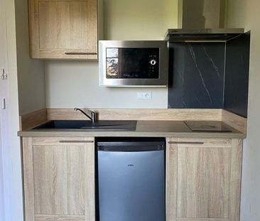 Location Appartement 1 pièce LIMOGES (87000) - Photo 3