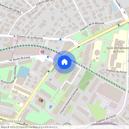 1226, Thônex, Avenue Tronchet, 34