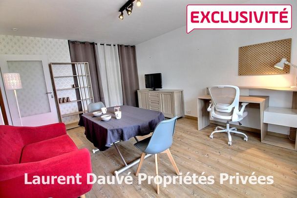 Location Appartement 1 pièce Meublé 39m² ST JEAN DE BRAYE 45800 - Photo 1