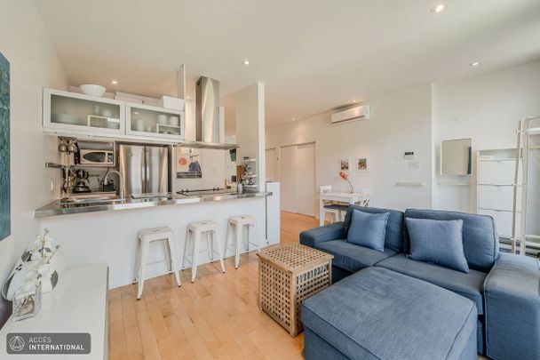 MP155 - Apartment Plateau Mont-Royal, Montreal - Photo 1