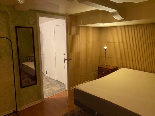 For Lease - 836 Sammon Avenue Unit# BSMT, Toronto, Ontario - Photo 1