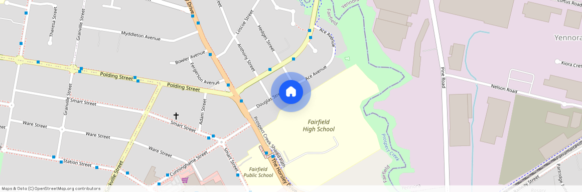 18A Douglas Street, NSW 2165, Fairfield