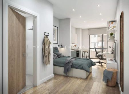 Premium Plus Ensuite - Photo 4