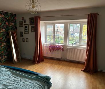 Casa de inchiriat in Sibiu - 6 camere, teren 1030 mp, pet friendly,... - Fotografie 3