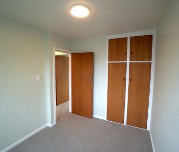 Freshly Renovated, Chic Unit in Sydenham - Photo 1