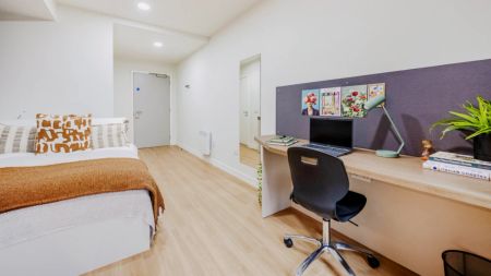 Standard Studio - Photo 4