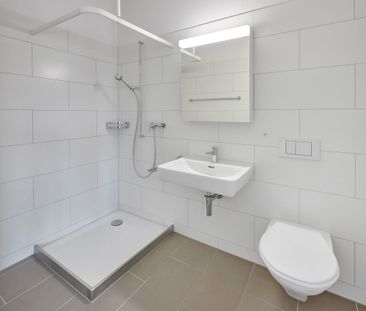 Modern living oasis in the countryside - Photo 3