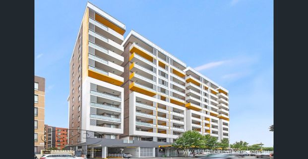 Luxury 1 Bedroom Apartment, Level 3 - Photo 1