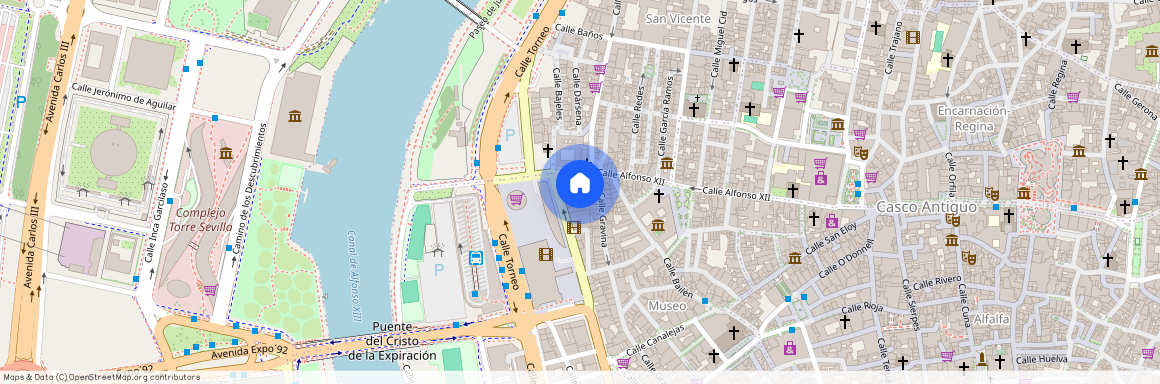 Doctor Jesús Vida, Sevilla, Andalusia 41001