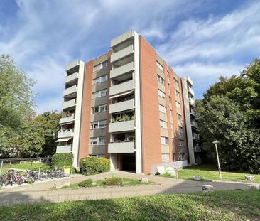 Kinderparadies bei der Grün80 - Foto 4