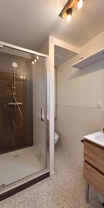Location Appartement 1 pièce 24m² - Photo 4