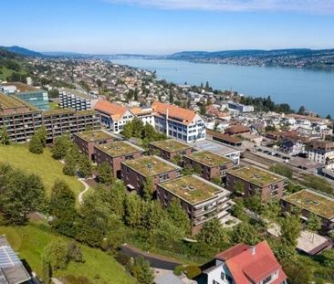 Modern living in Horgen Oberdorf with a view of Lake Zurich - Photo 1